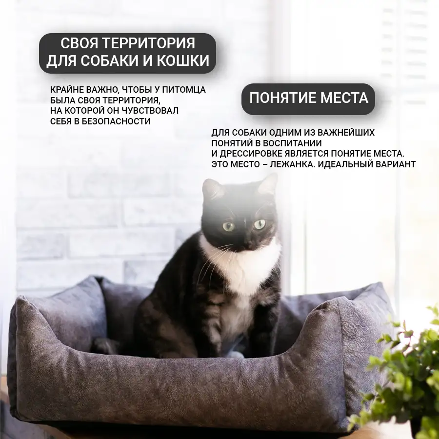 Лежанка для собак и кошек Для  маленьких пород, фотография 6