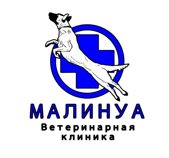 Кастрация кошек и собак, фотография 1