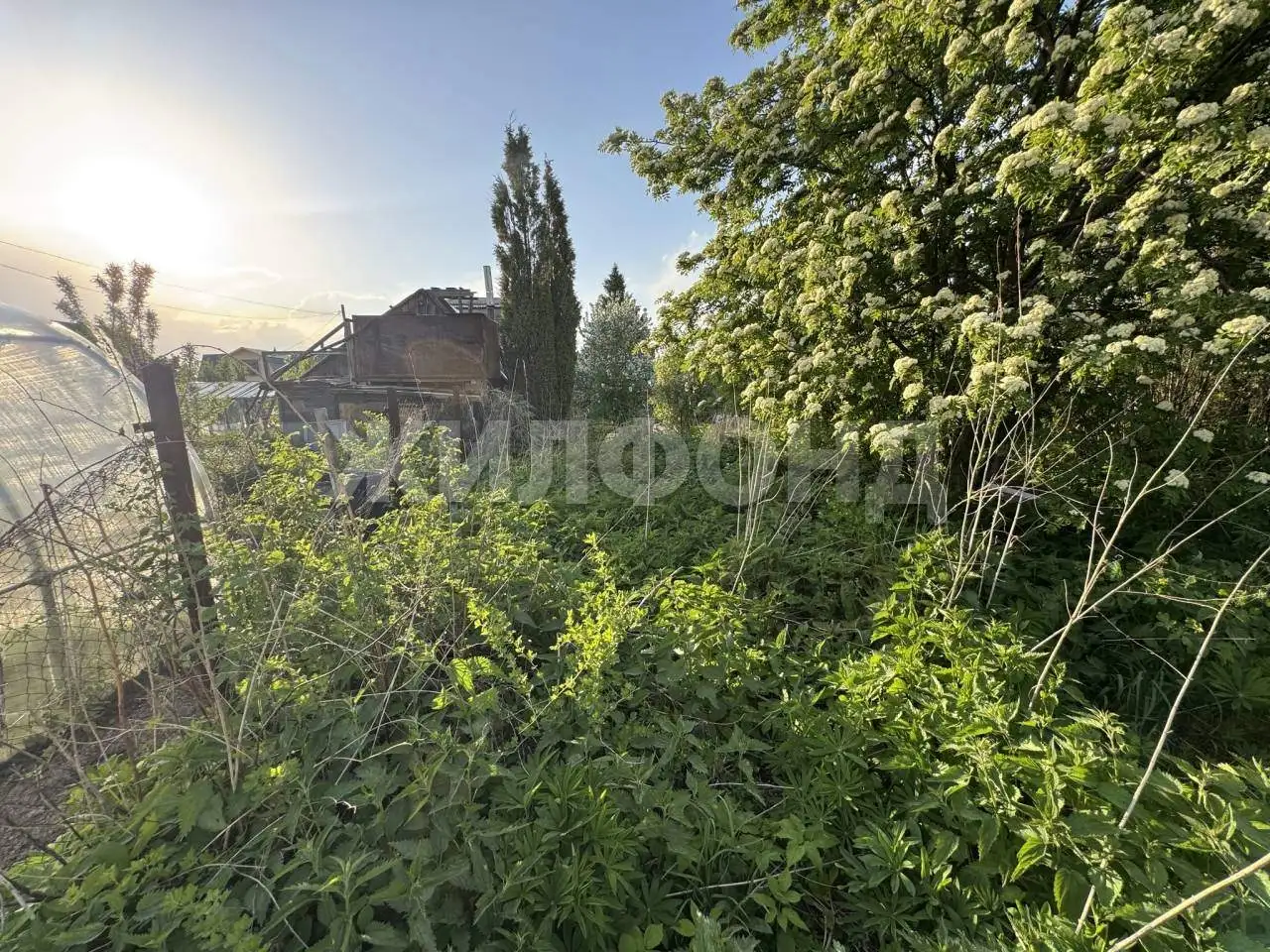Продается земельный участок 5.85 сот., фотография 5