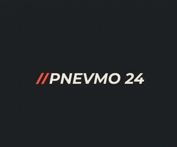 Ремонт пневмоподвески, фотография 4