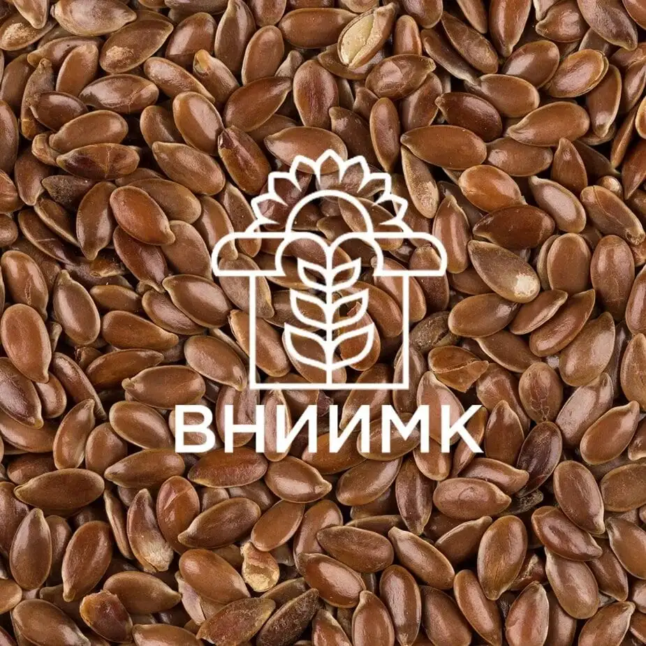 Семена масличного льна ВНИИМК сорт Бирюза, фотография 1