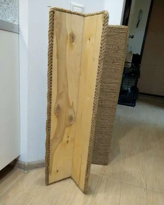 Когтеточка угловая, фотография 2