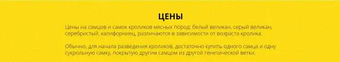 Кролики на разведение, фотография 4