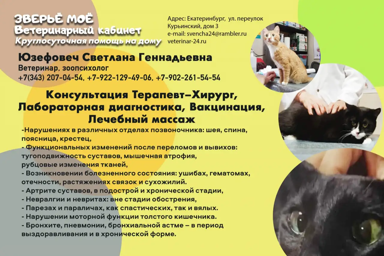 Ветеринарный кабинет, круглосуточный выезд ветеринарного врача на дом, фотография 1