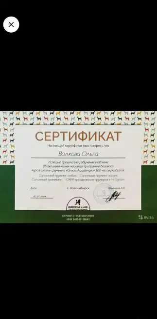 Стрижка собак и кошек / груминг собак и кошек, фотография 2