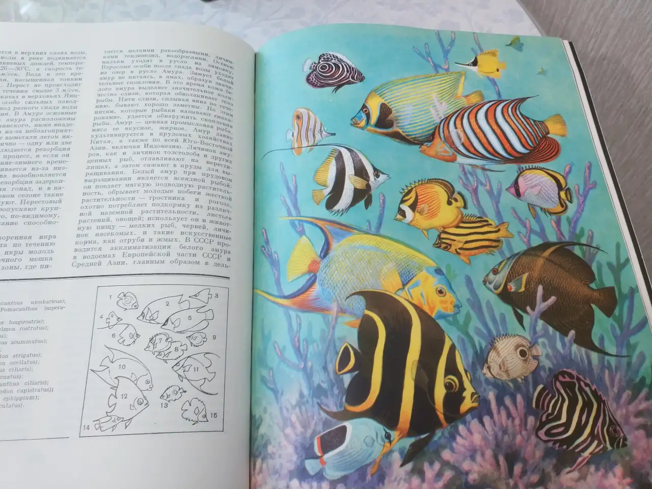 Энциклoпeдия  Жизнь животныx 6 томов комплeкт из 7 книг в хорошeм сoстоянии  АБез потёpтocтeй, фотография 11