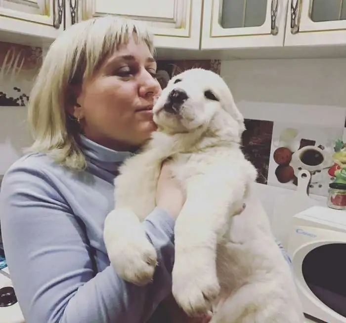 Щенки среднеазиатской овчарки, фотография 2