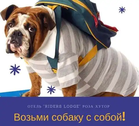 Оздоровительные туры в лучшие санатории и профилактории. Отдых на море и горах., фотография 3