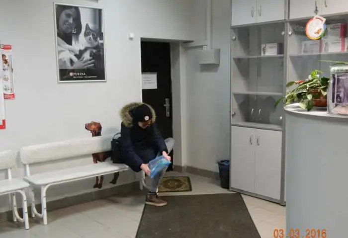 Ветеринарная клиника рядом с метро Ясенево., фотография 3