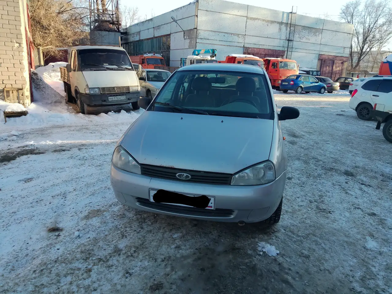 Калина с кондёром, фотография 2