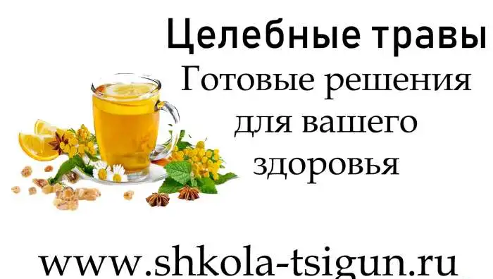 Целебные травы в каждый дом, фотография 1