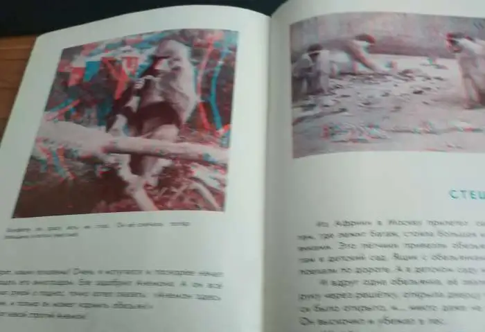 1964  Объёмные изображения  Смотреть через спец очки В гостях у обезьян Автор Снегирев Гуревич Объёмные фотографии, фотография 6