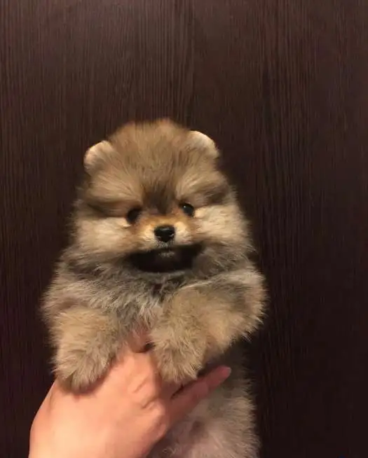 Микро мальчик и мини девочка, фотография 6
