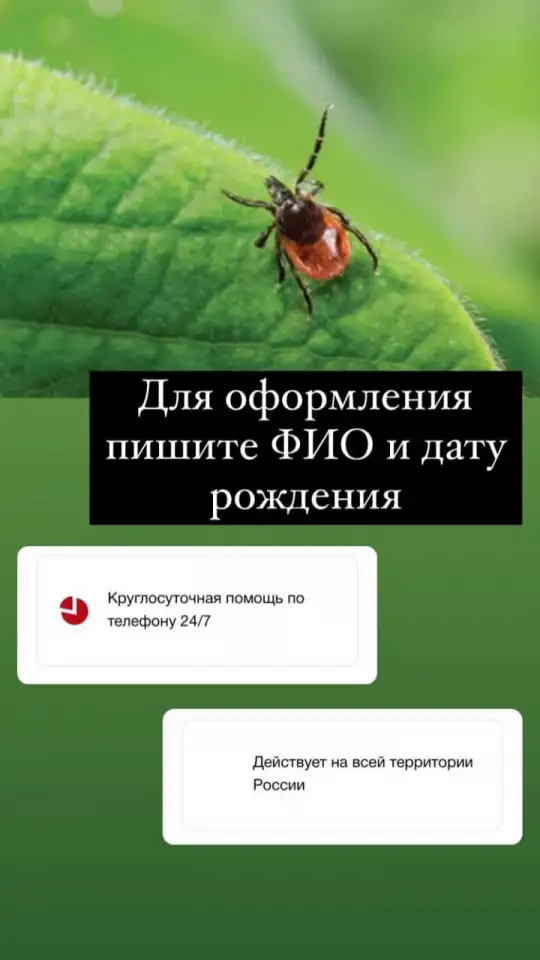 Добровольное медицинское страхование по программе Стоп.Клещ, фотография 3