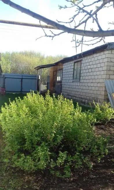Продам коттедж в Кинельском районе, район, село Новый Сарбай, ул.Полевая 21-2 70,00 м2, фотография 2