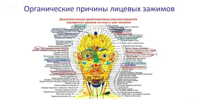 глубокий массаж лица, фотография 2