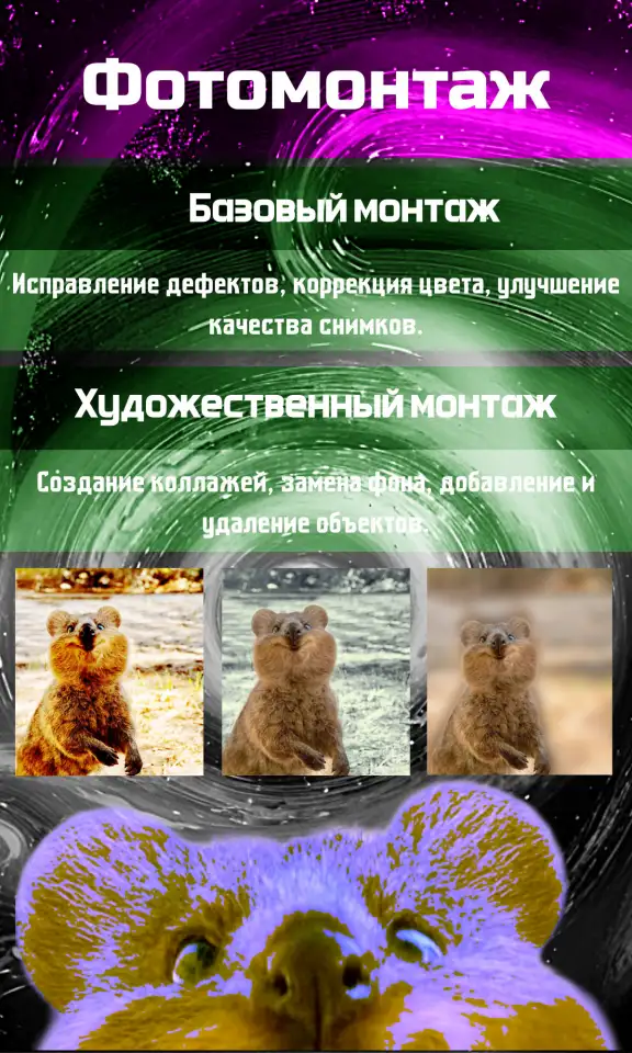 Ваш универсальный союзник. Помогу вам и вашему бизнесу., фотография 9