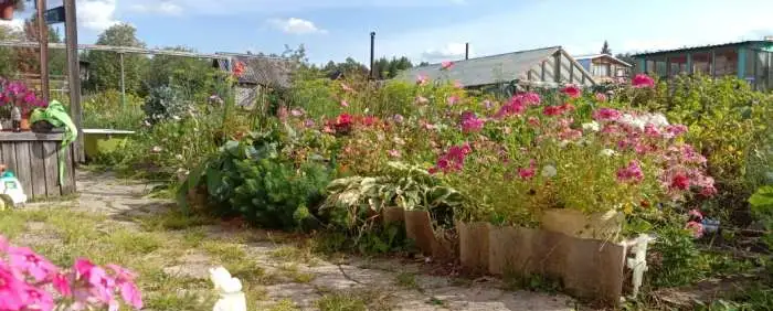 Продам дачный участок, 6 соток, фотография 4