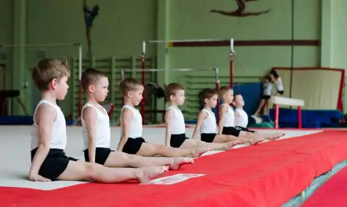 Начальная спортивная гимнастика для детей, фотография 2
