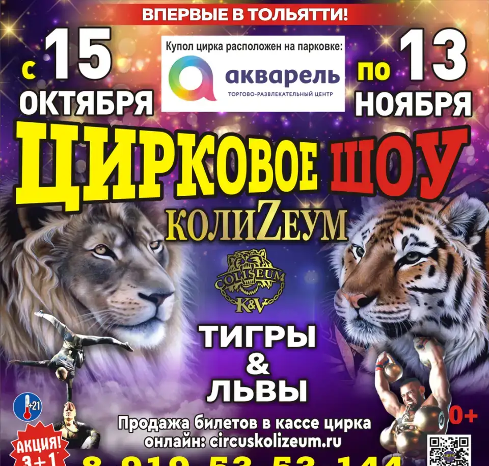 Цирк шапито 