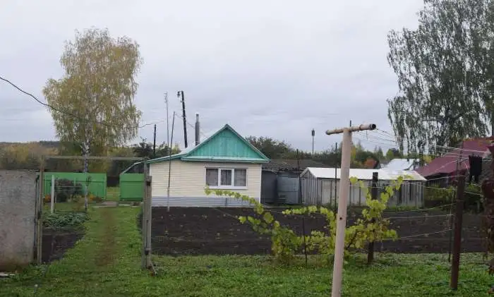Дом, д. Вишенки, Бутурлинский район  40,00 м2, фотография 9