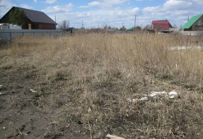 Продам участок в снт Луч Березняки, фотография 3
