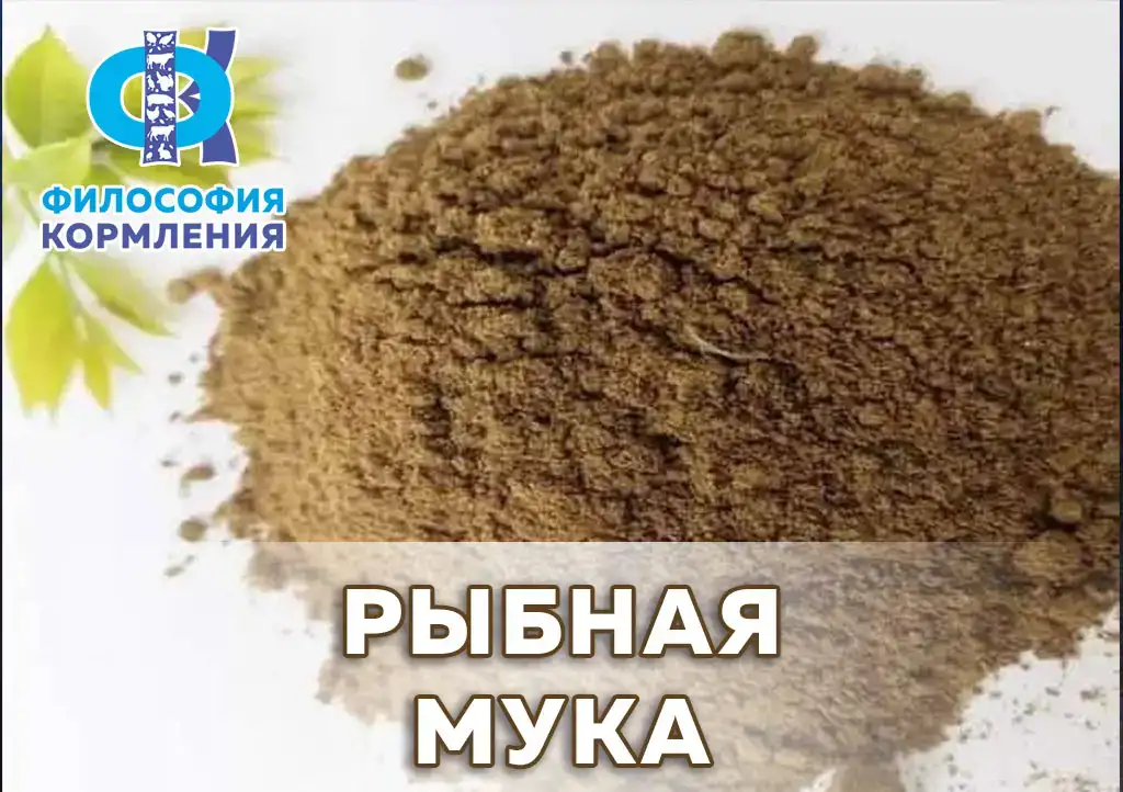 Рыбная мука, 40кг, фотография 3