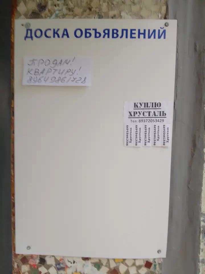 Рекламно-информационные услуги, фотография 19