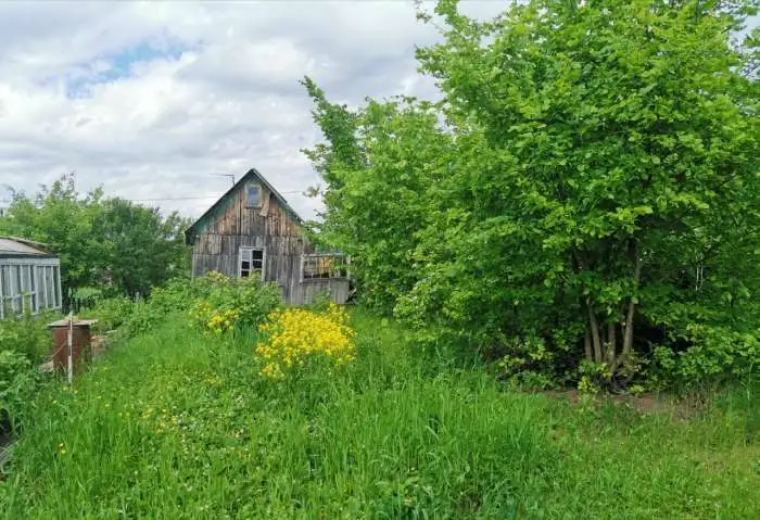 Продам сад, фотография 1