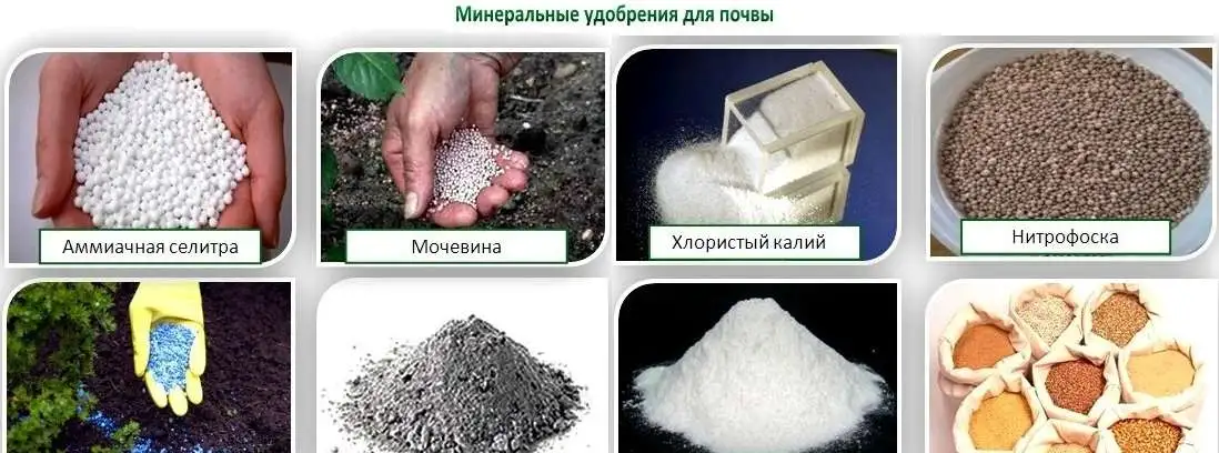 Закупаем калийные удобрения, фотография 1