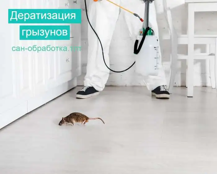 Сан-обработка.тлт, фотография 3