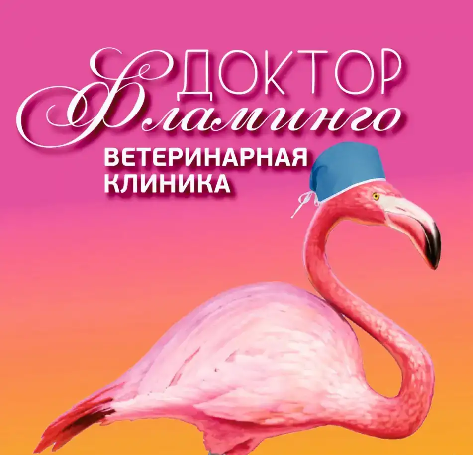Вызов ветврача на дом, фотография 1