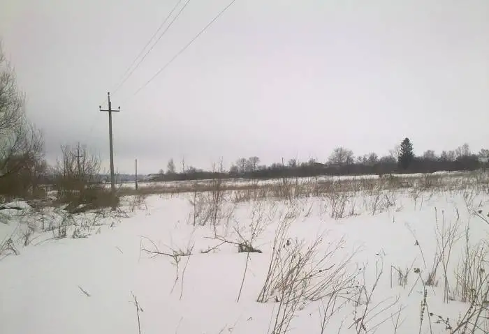 обменяю на денежные средства, село Татарское, фотография 1