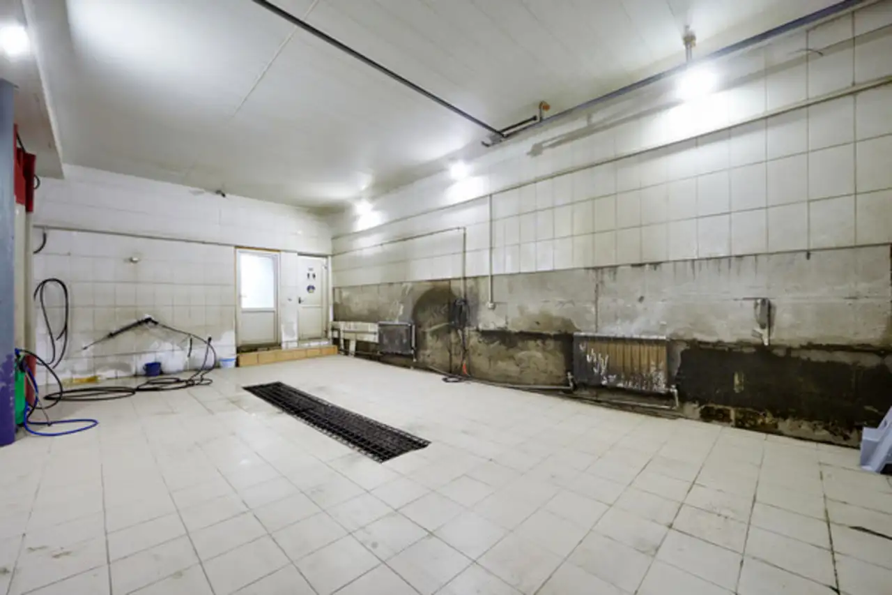 Продам мойка 222,10 м2, Квартал 29а (слава тер. снт) ул, 17, фотография 9