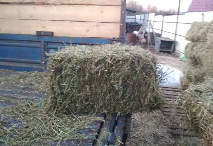 Сено в тюках, фотография 1