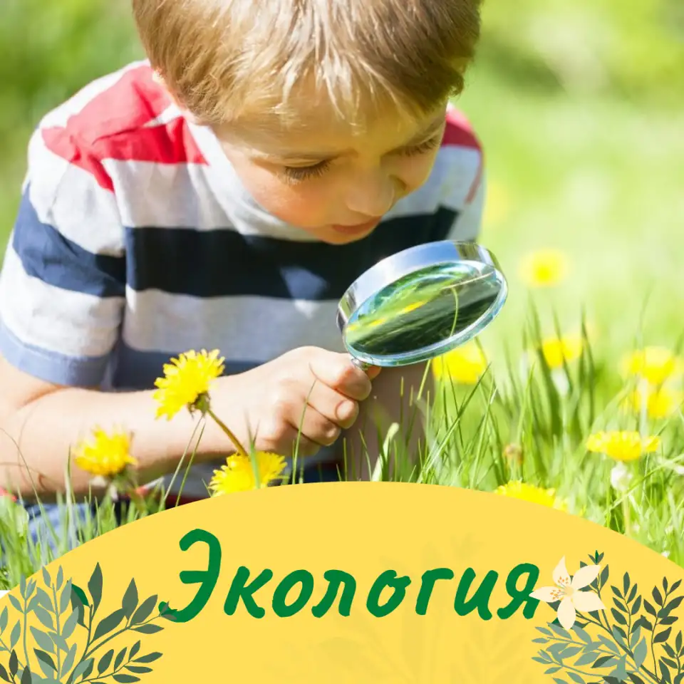 Клуб полного дня - Экология для младших школьников, фотография 1