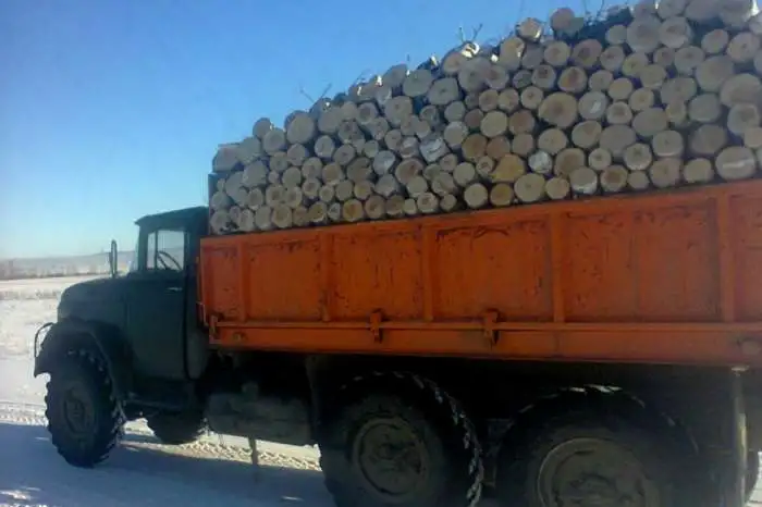 Дрова колотые, чурки, фотография 2