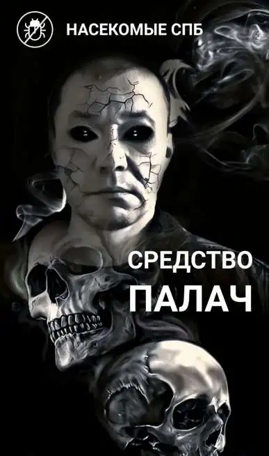 Мы поможем, средства  от насекомых и грызунов., фотография 1