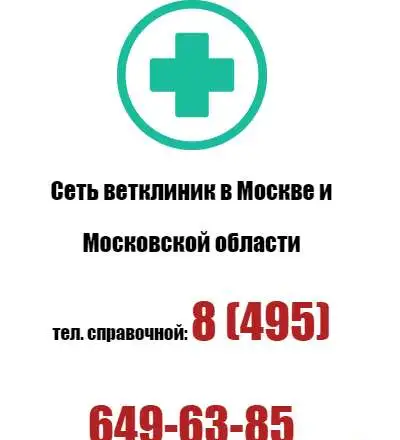 Ветклиника на дом 24 часа в Москве, фотография 1