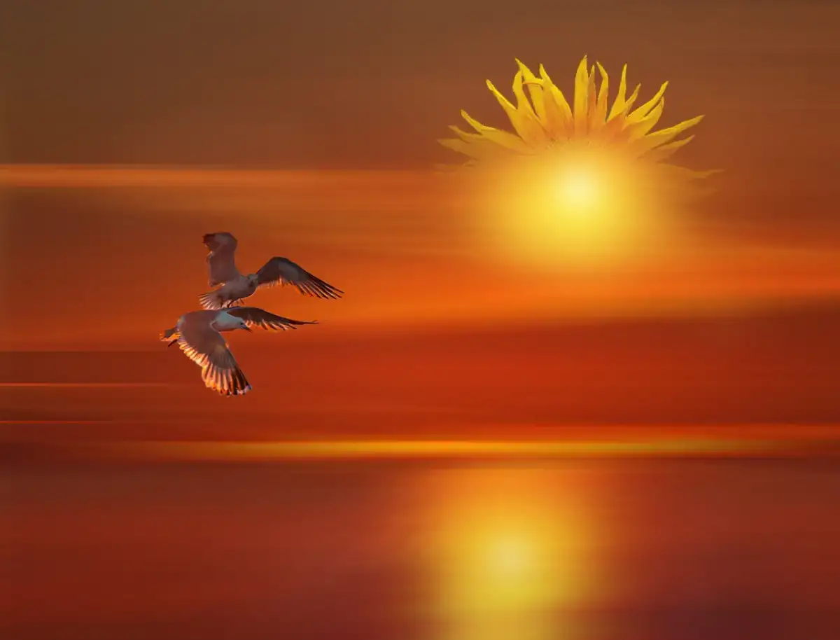 Поговорить, фотография 1