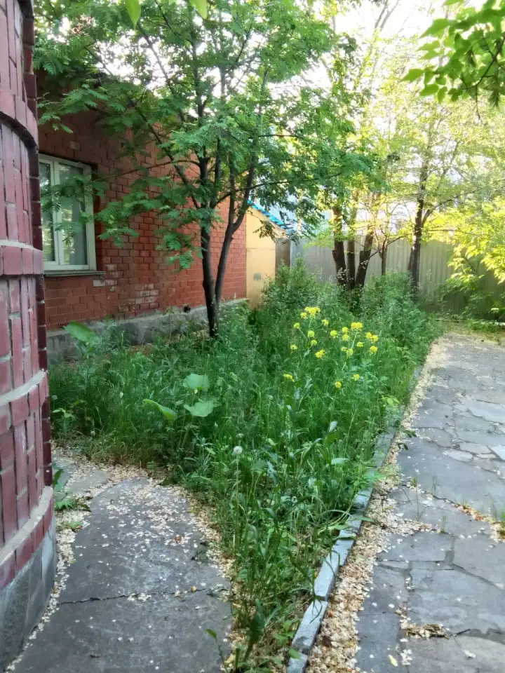 Сдам баню на дровах, фотография 13