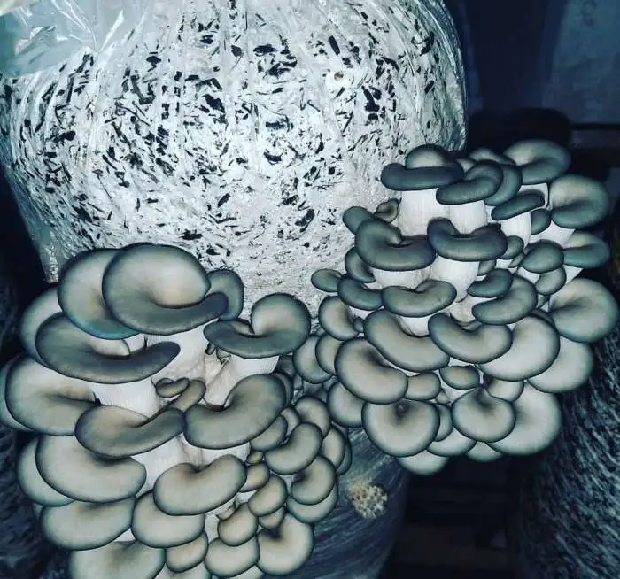 Продаю готовый бизнес, фотография 2