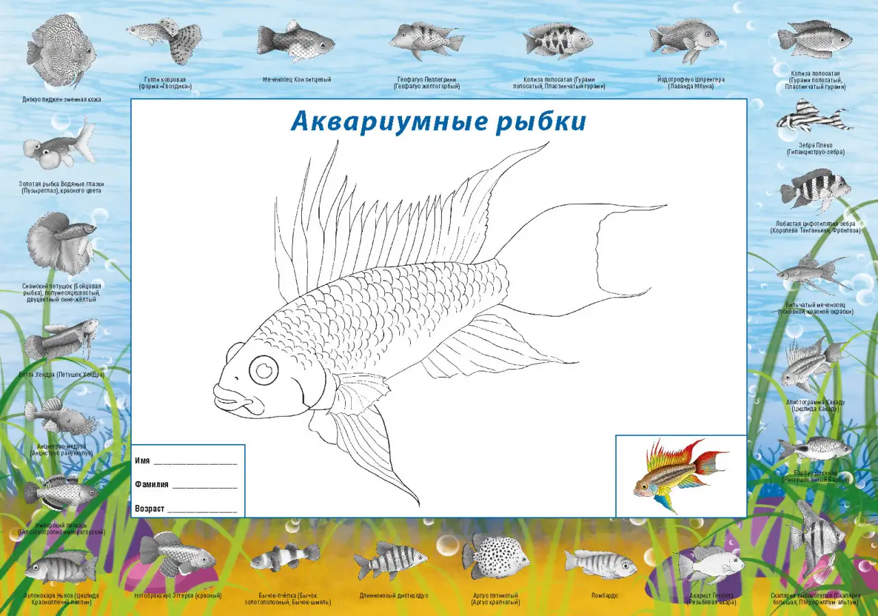Наклейки тематические с полем для наклеек. В ассортименте, фотография 14