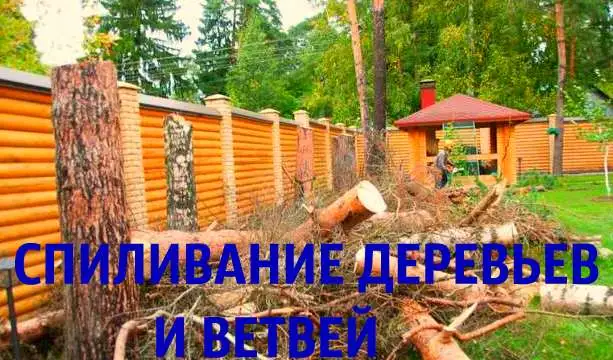 Благоустройство участка., фотография 9