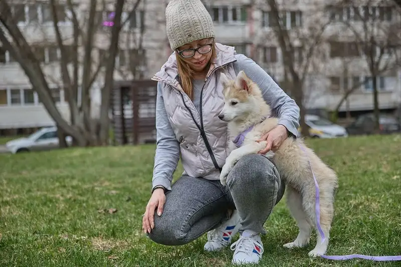 Ищет дом маленькое чудо  Лунтик, щенок 2 месяца!, фотография 5