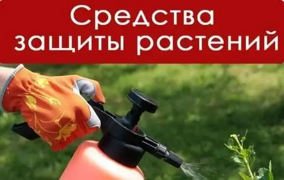 Купим все виды удобрений, фотография 1