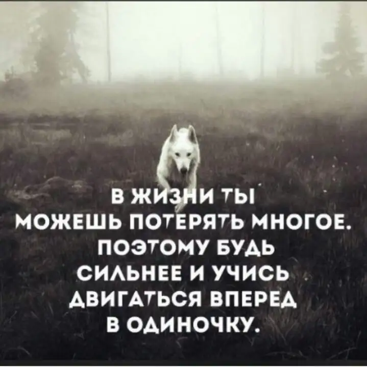 ищу работу, фотография 3