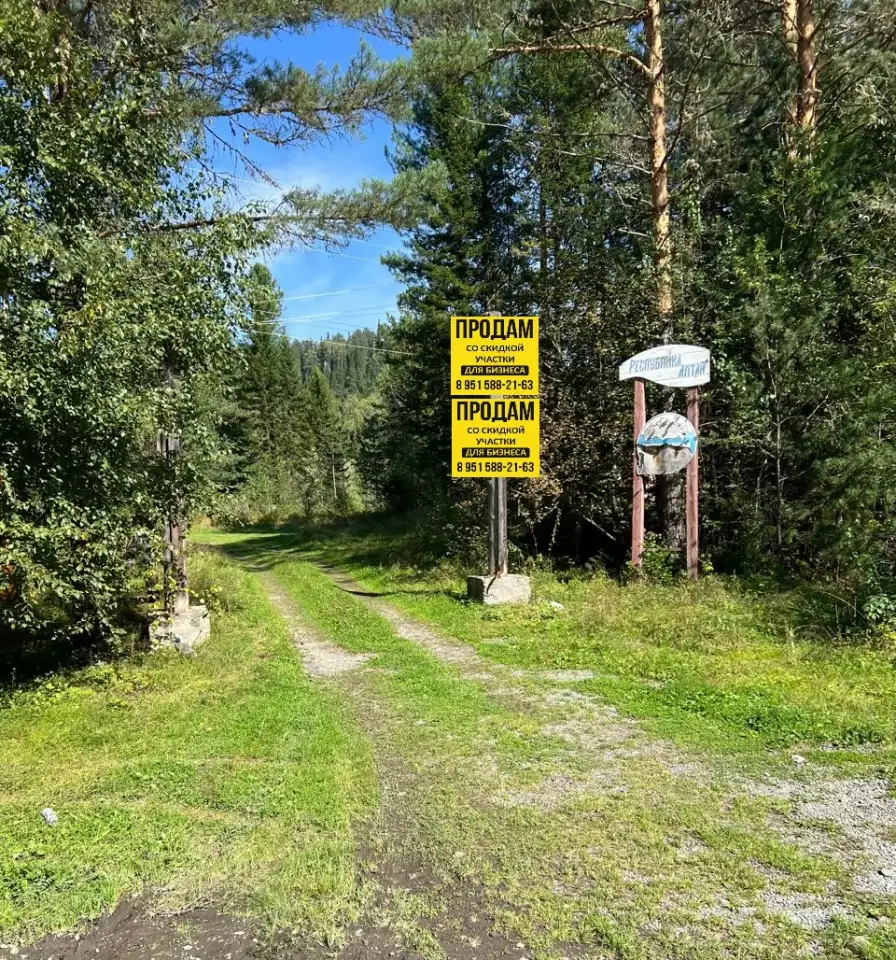 Участки для турбизнеса возле Телецкого озера на Алтае, фотография 6