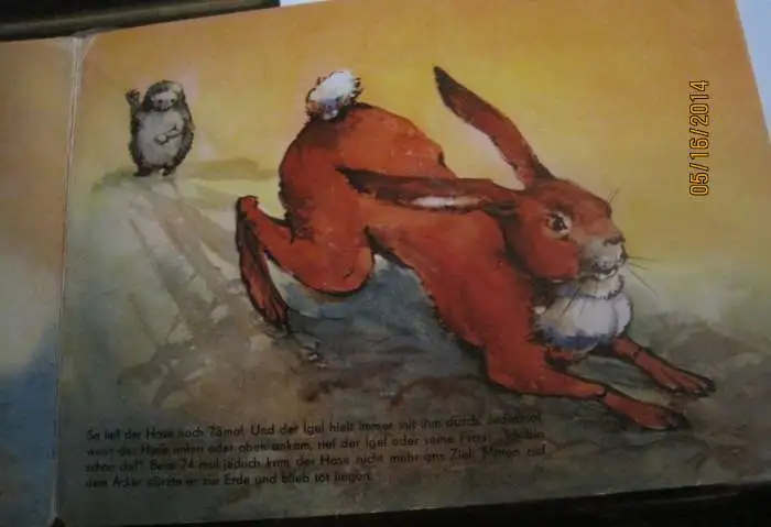 1962  Детская Книга  на немецком языке для дошкольного возраста картонные  2 листа 4 страницы, фотография 4