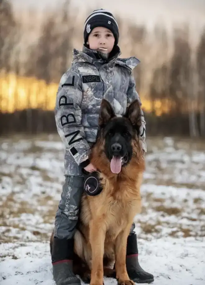 Щенки немецкой овчарки в Иркутске, фотография 2